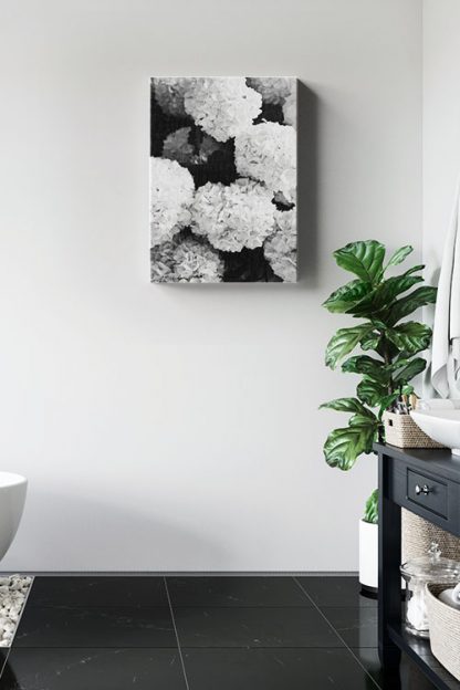 Black and white hydrangea Canvas