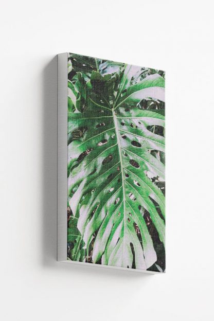 Tropical leaf close view Canvas