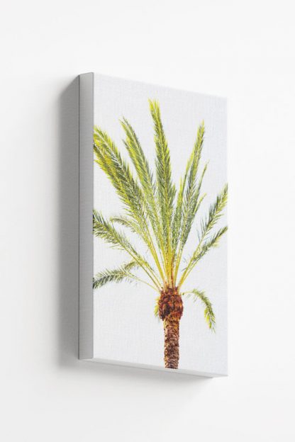 Thin palm leaves Canvas