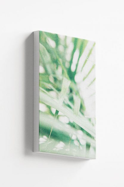 lighted sedge Canvas