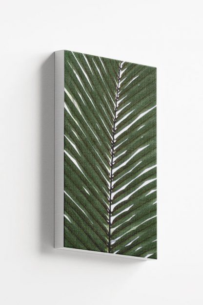 Vertical palm leaves Canvas