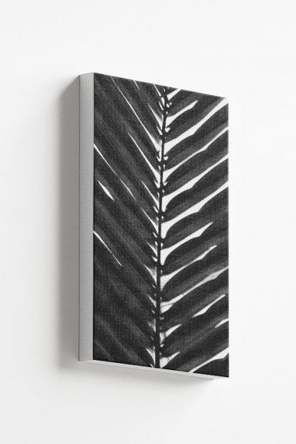 Vertical palm leaves B&W Canvas