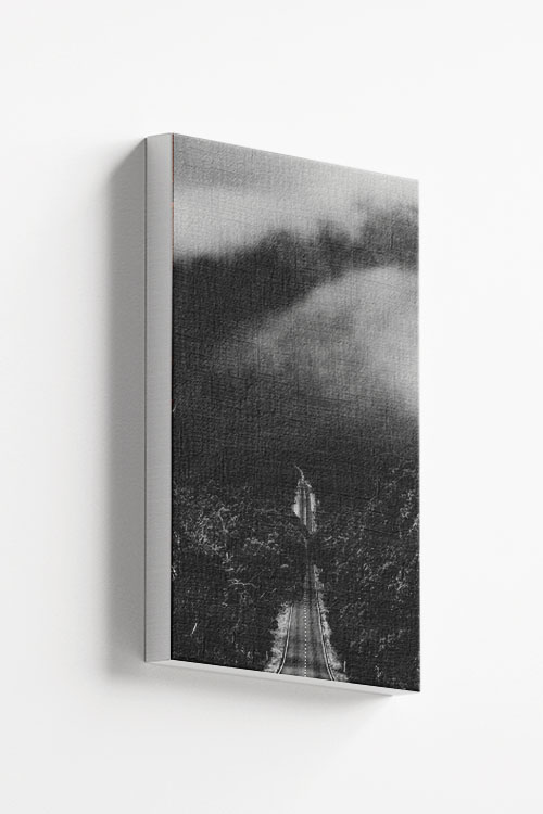 Foggy road B&W canvas