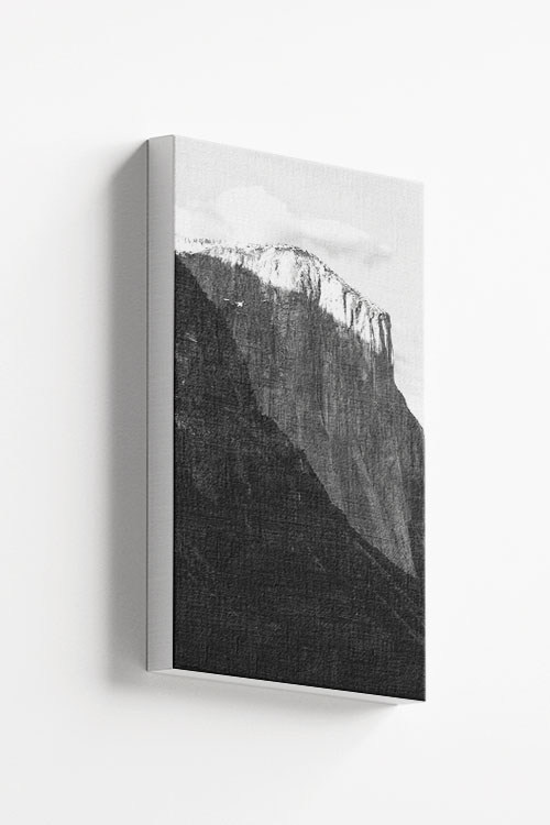 Rocky mountain and pine trees no1 canvas