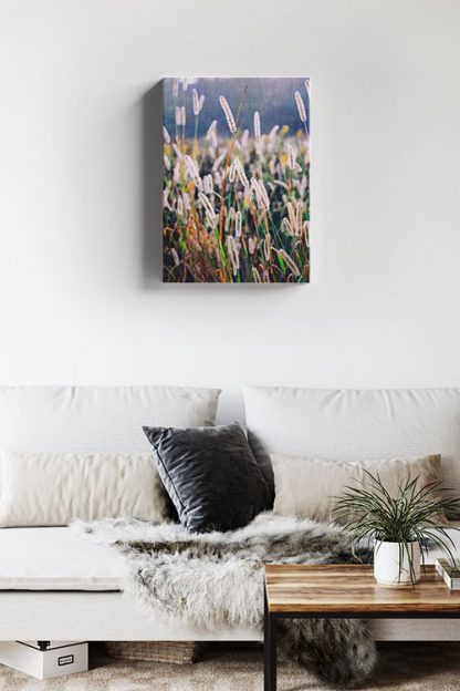 Feather reed grass canvas