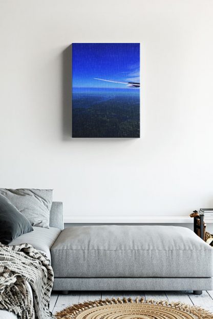 Bird Eye canvas