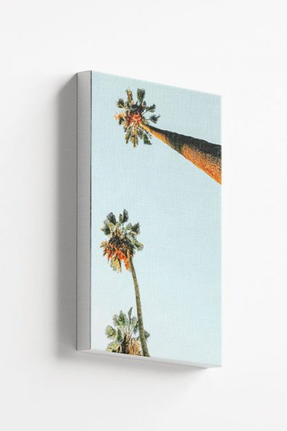 Tall Coconut trees canvas