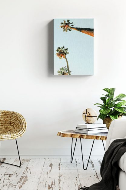 Tall Coconut trees canvas