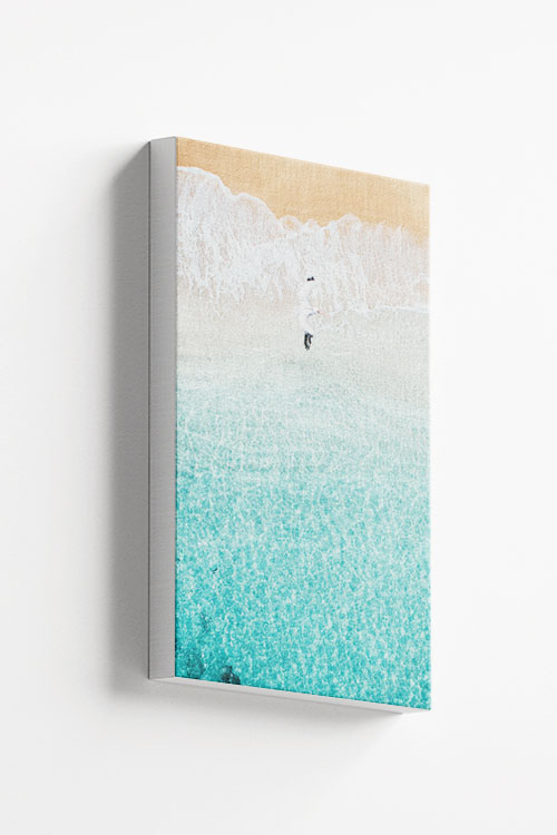 Bird flying on shore canvas