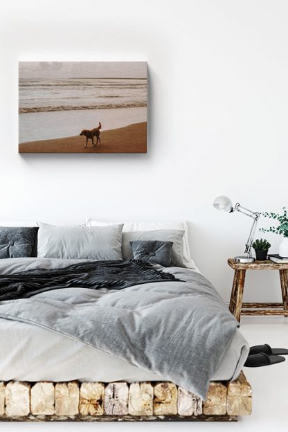 Dog on beach canvas