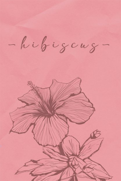 Hibiscus on pink Poster