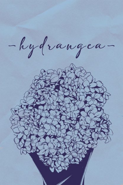 Hydrangea on blue Poster