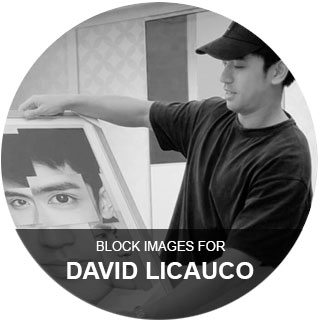 David licauco personalized poster