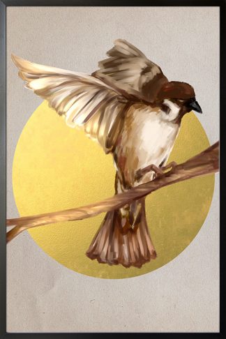 Birds collection Maya Poster