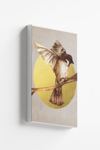 Birds collection Maya Canvas
