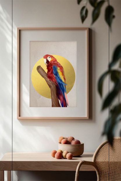 Birds collection Parrot Poster