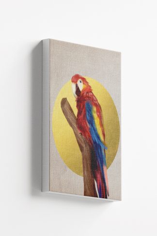 Birds collection Parrot Canvas