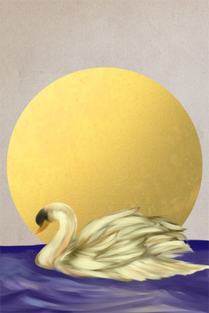 Birds collection Swan Poster