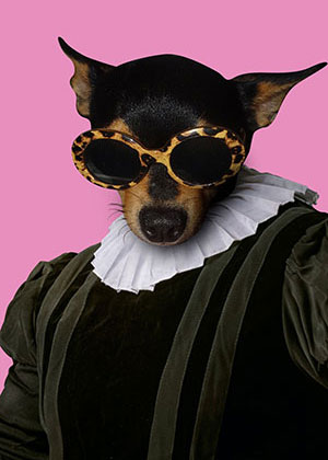 My pet in renaissance clothes art